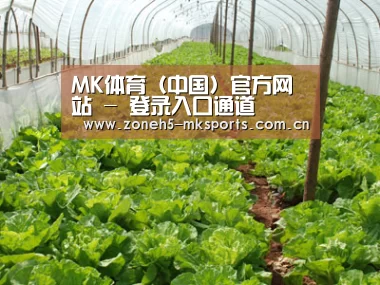 种植基地五