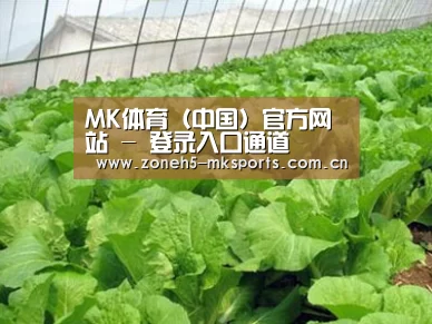 种植基地一