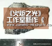 MK体育App官网入口 