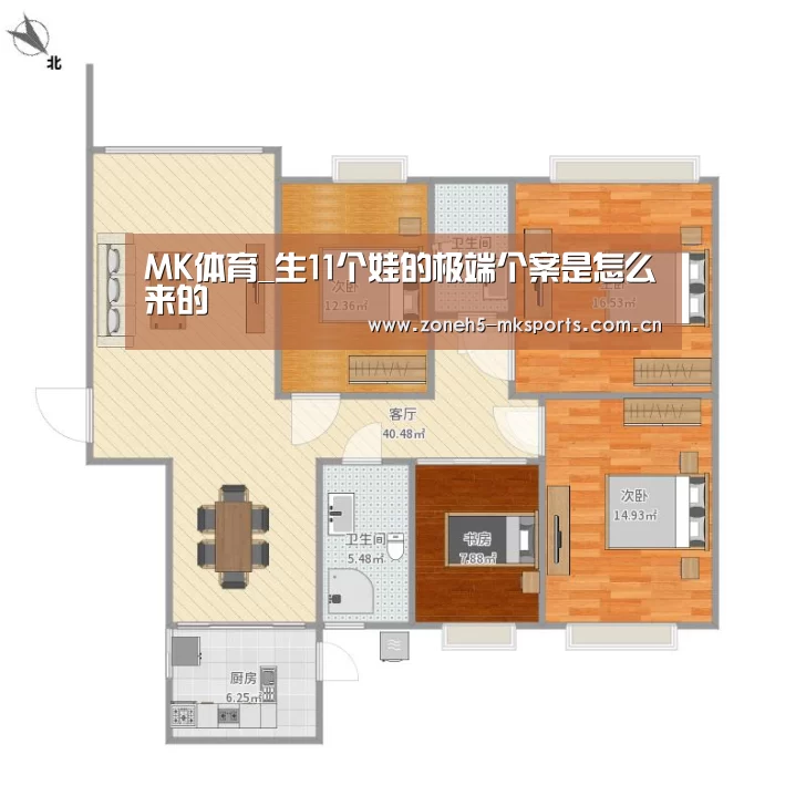 MK体育_生11个娃的极端个案是怎么来的(图2) MK体育App官网入口