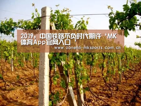 MK体育App官网入口 