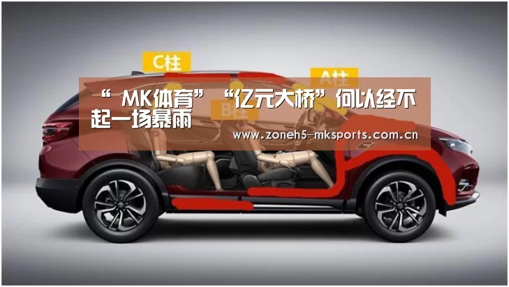 MK体育App官网入口 