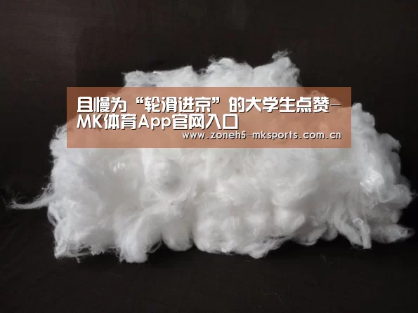 MK体育App官网入口 